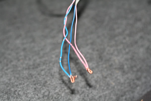 Name:  IMG_5603.jpg
Views: 3869
Size:  32.2 KB