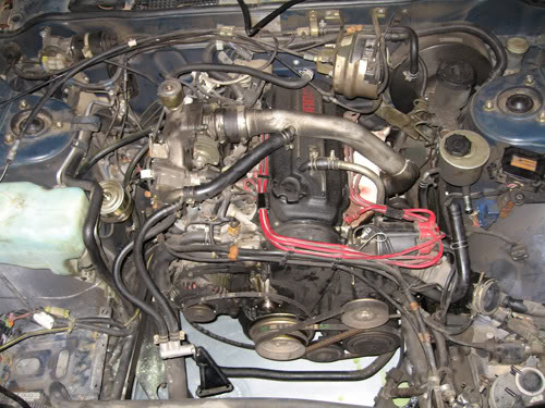 Name:  IMG_3138.jpg
Views: 286
Size:  64.6 KB