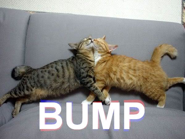 Name:  bump3.jpg
Views: 79
Size:  42.6 KB