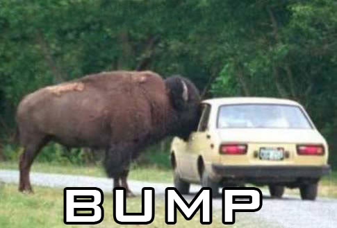 Name:  bump1.jpg
Views: 69
Size:  24.4 KB