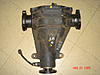 Name this LSD...-dsc01769.jpg