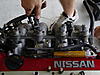 Any one know what these are?-picture-990.jpg
