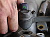 Any one know what these are?-picture-991.jpg