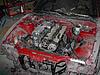 RB20 is going in!-rbisin.jpg