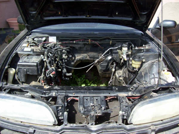 Name: 000_0013.jpg
Views: 17
Size: 50.0 KB