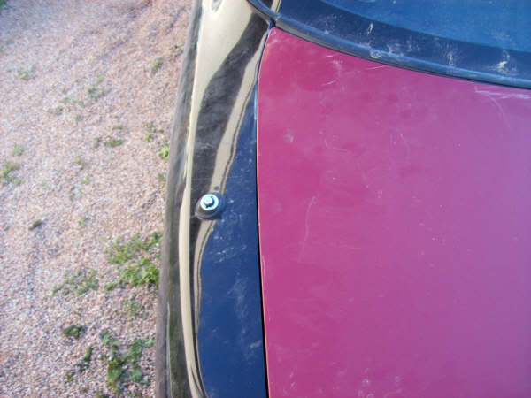 Name: 100_0621.jpg
Views: 13
Size: 31.8 KB