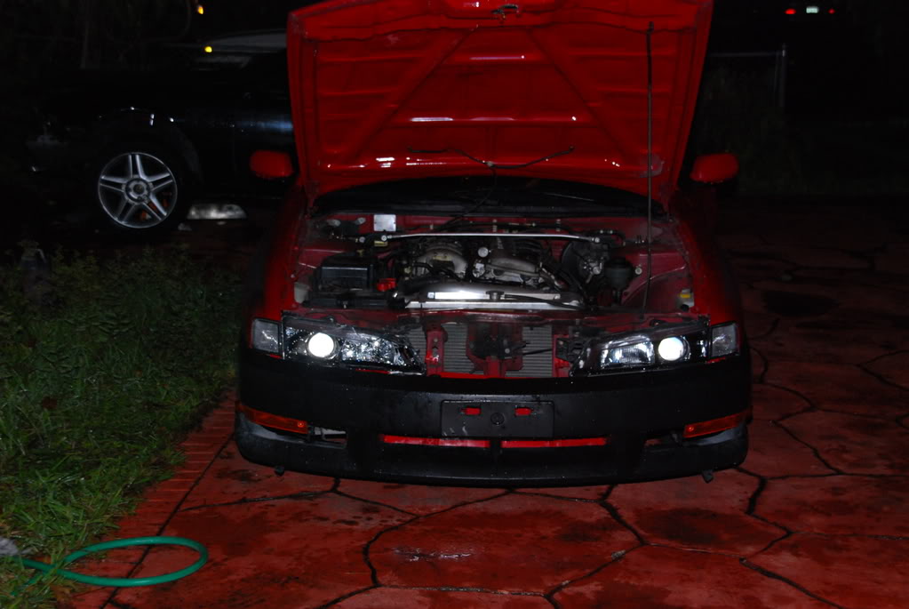 Name:  DSC_3664.jpg
Views: 15
Size:  103.8 KB