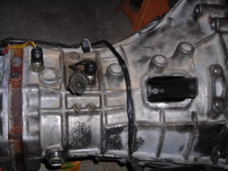 Name: Clutch085.jpg
Views: 61
Size: 57.2 KB