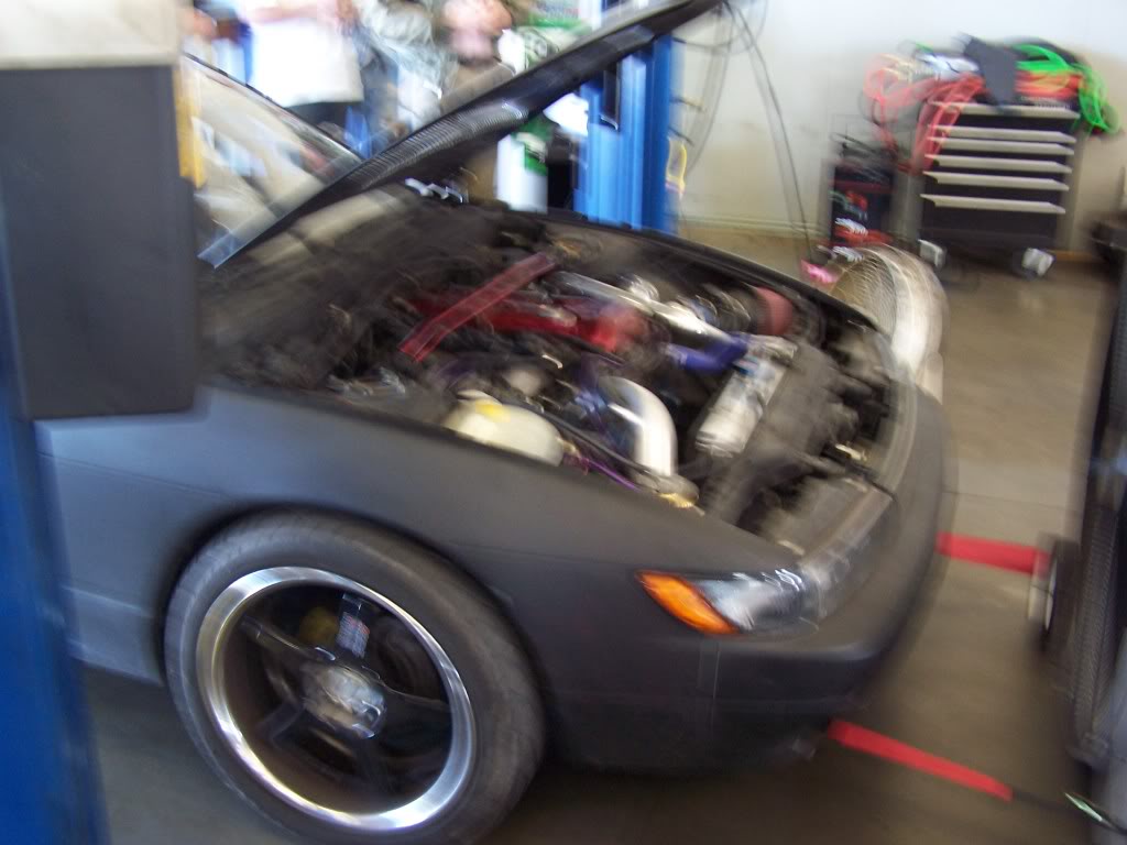 Name:  100_0052.jpg
Views: 16
Size:  81.6 KB