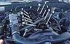 Torque for head blots?-head_bolts.jpg