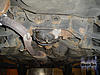 sound comming from my left back wheel-nissan-001.jpg