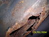 Need Some Advice-pictures-053.jpg