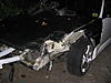bad night-img_0471.jpg