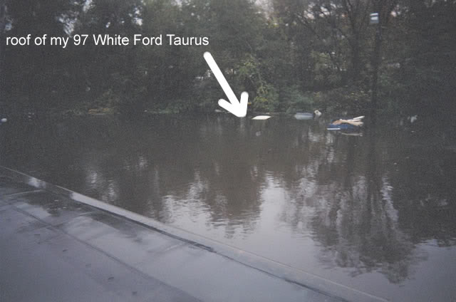 Name: floodmineral2.jpg
Views: 3321
Size: 33.9 KB