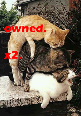 Name:  Owned-3Cats.gif
Views: 17
Size:  77.2 KB