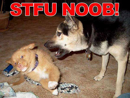 Name:  STFU-Dog_on_puppy.jpg
Views: 22
Size:  66.1 KB