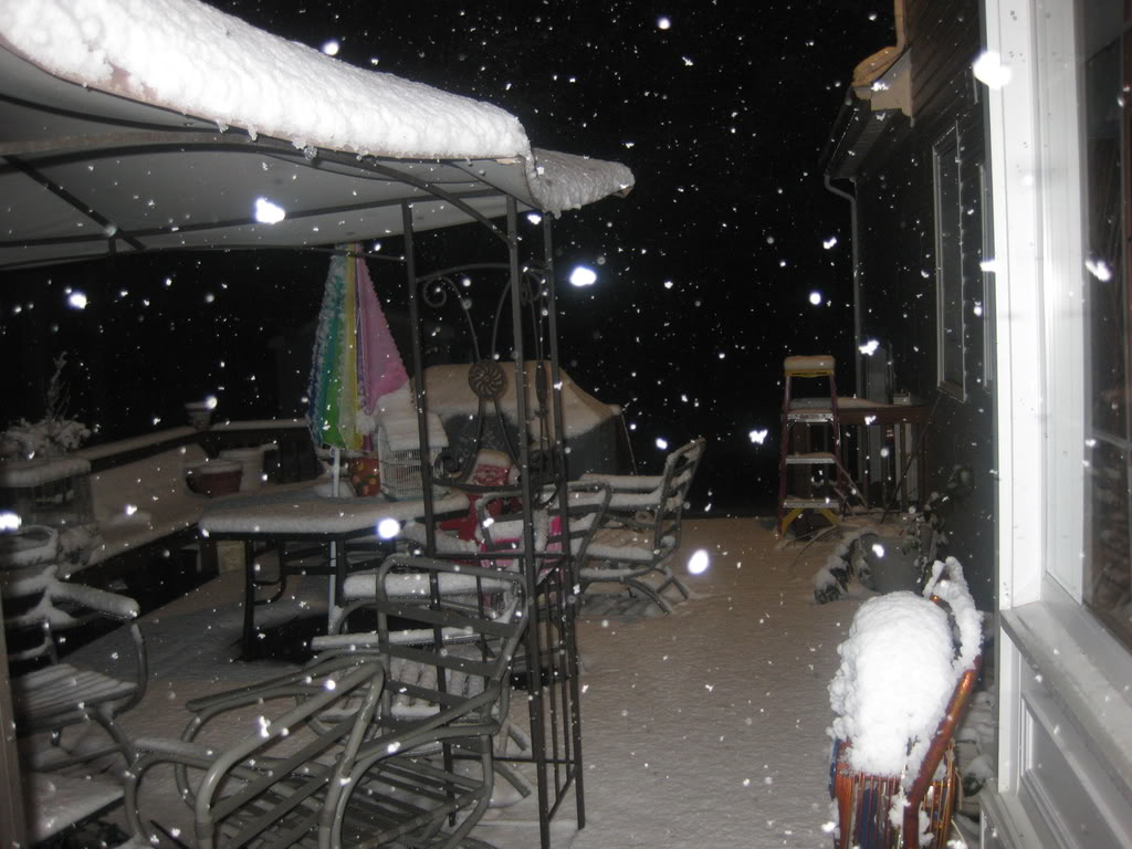 Name:  IMG_0149.jpg
Views: 19
Size:  125.4 KB