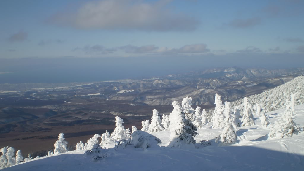 Name: P2271556.jpg
Views: 111
Size: 71.5 KB