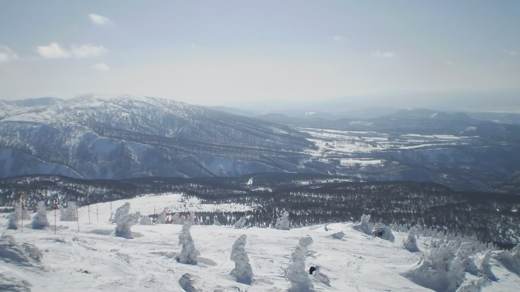 Name: P2271531.jpg
Views: 92
Size: 81.5 KB