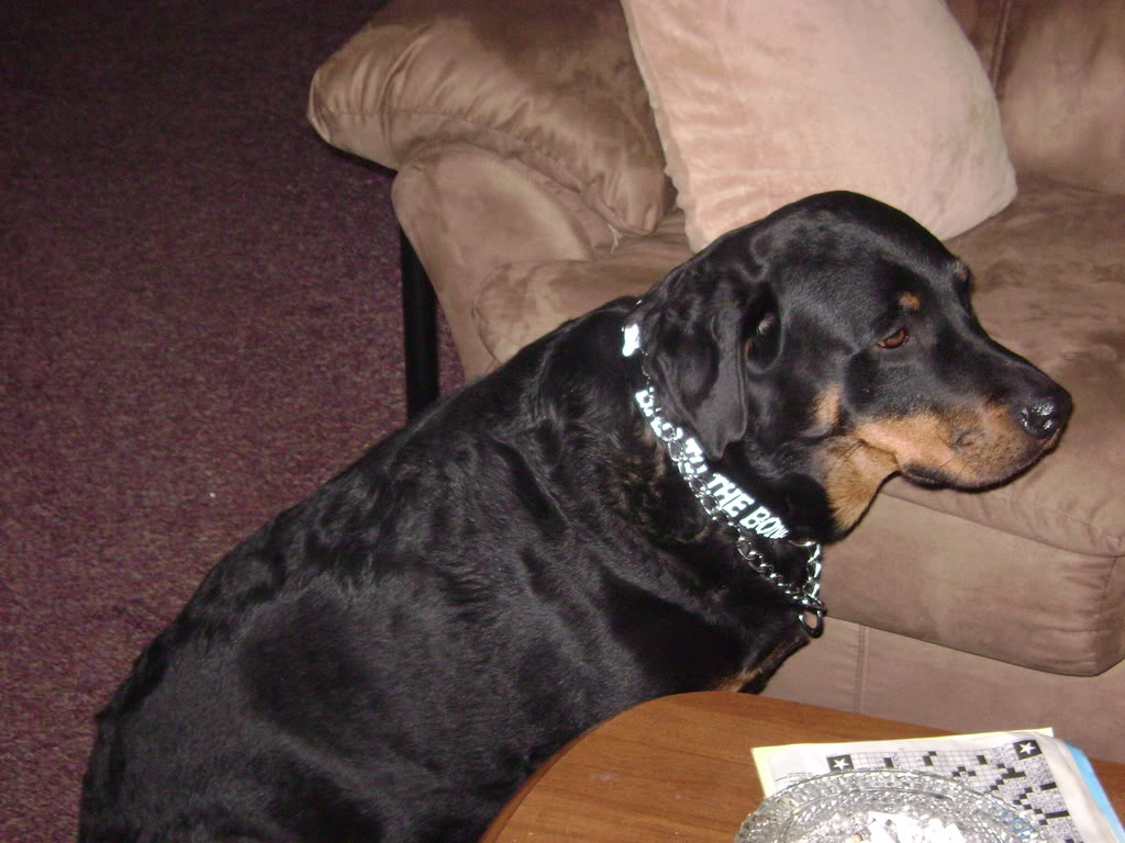 Name:  BonniesPICS125.jpg
Views: 12
Size:  137.9 KB