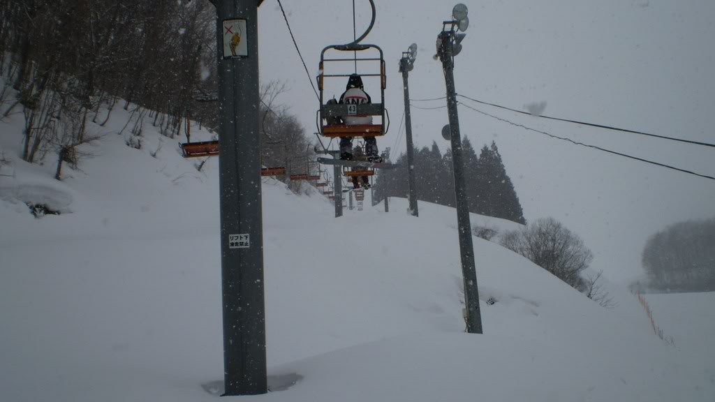 Name:  P2171483.jpg
Views: 11
Size:  57.8 KB