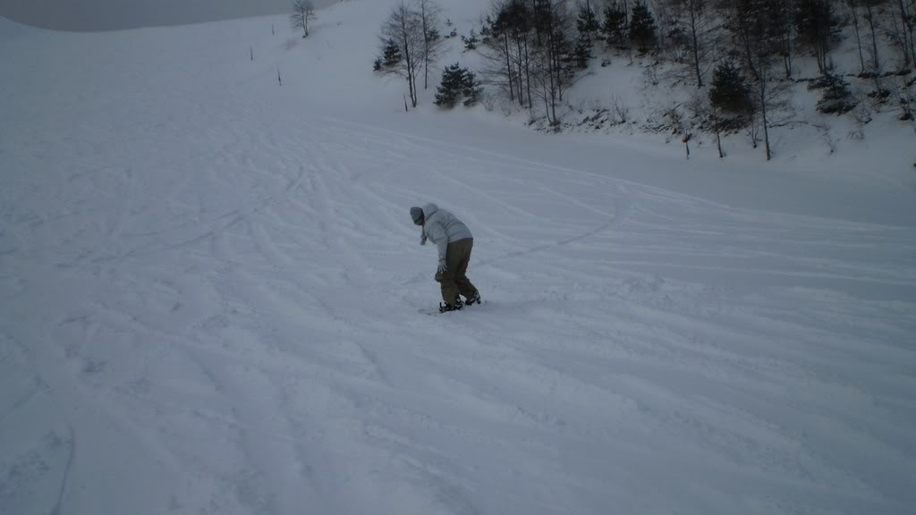 Name:  P2171492.jpg
Views: 12
Size:  46.5 KB