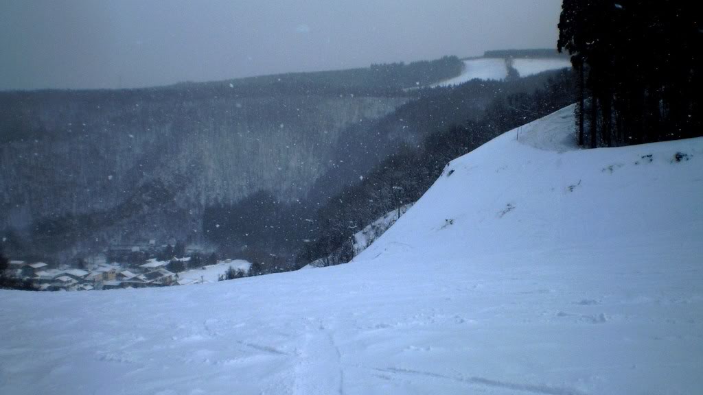 Name:  P2171495.jpg
Views: 13
Size:  62.3 KB