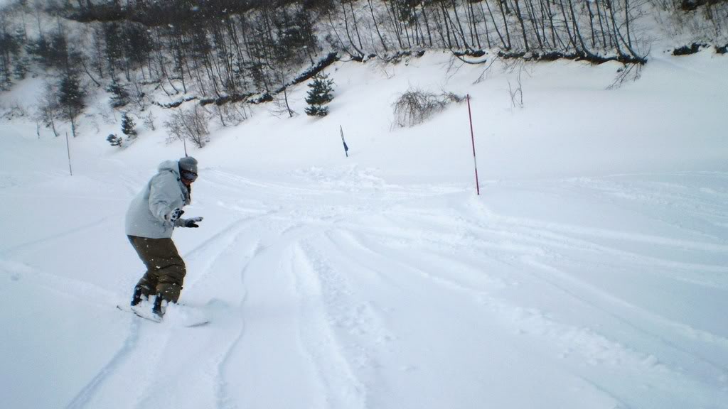 Name:  P2171497.jpg
Views: 12
Size:  75.4 KB