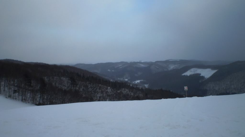 Name:  P2171505.jpg
Views: 12
Size:  34.8 KB