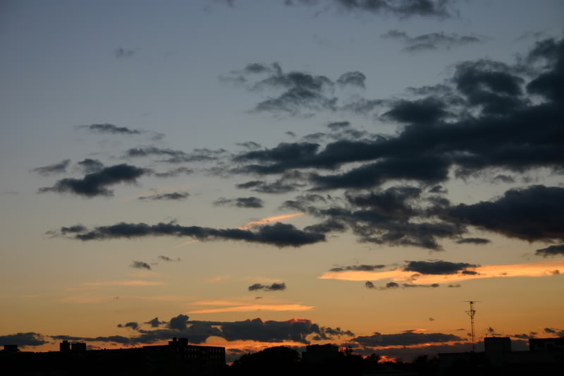 Name:  Picture63.jpg
Views: 15
Size:  38.1 KB