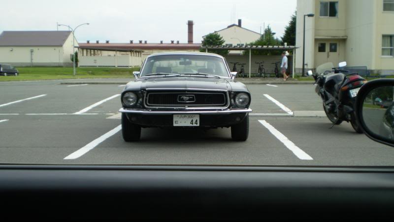 Name:  P8170837.jpg
Views: 7
Size:  38.3 KB