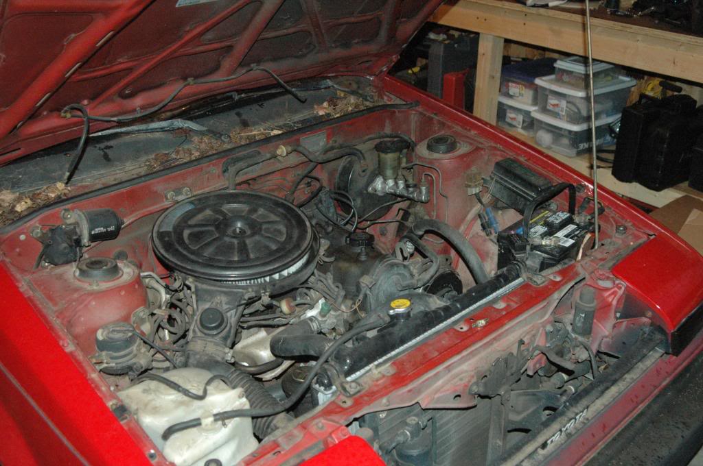 Name:  DSC_9255.jpg
Views: 72
Size:  136.4 KB