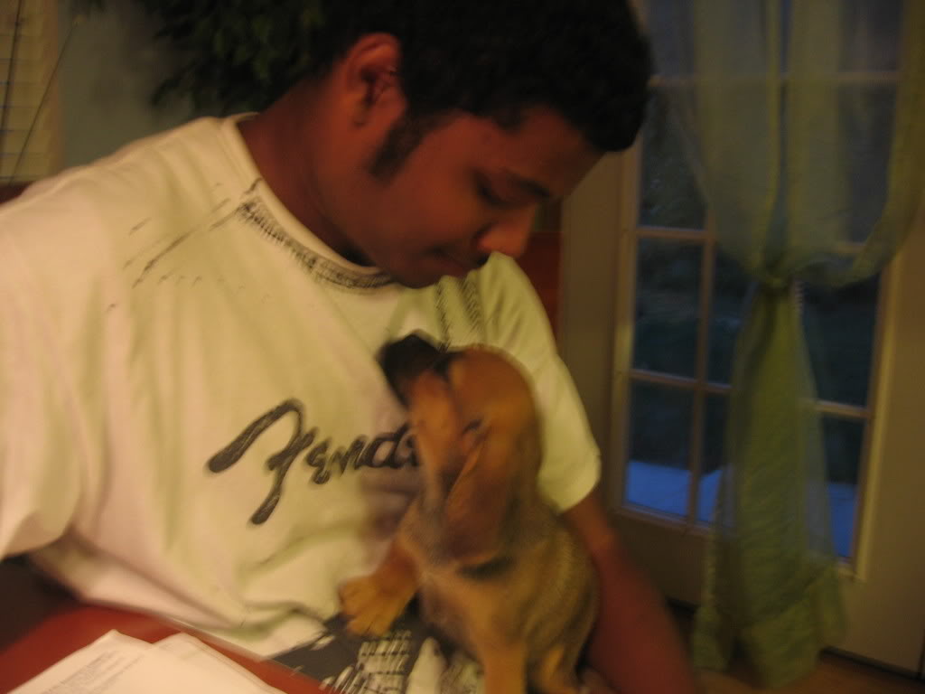 Name: marley002.jpg
Views: 10
Size: 55.2 KB