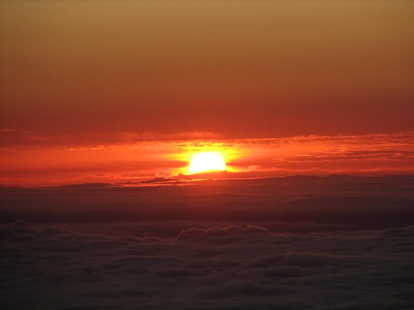 Name: IMG_3353.jpg
Views: 9
Size: 24.8 KB