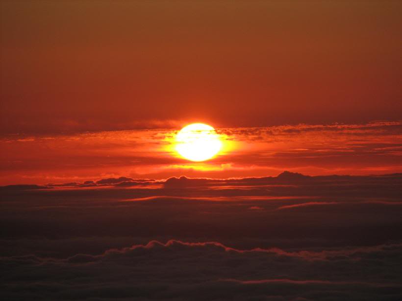 Name: IMG_3358.jpg
Views: 9
Size: 24.9 KB