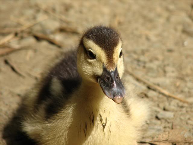Name: IMG_3573.jpg
Views: 9
Size: 33.0 KB