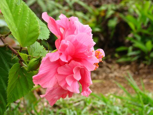Name: IMG_3609.jpg
Views: 7
Size: 46.2 KB