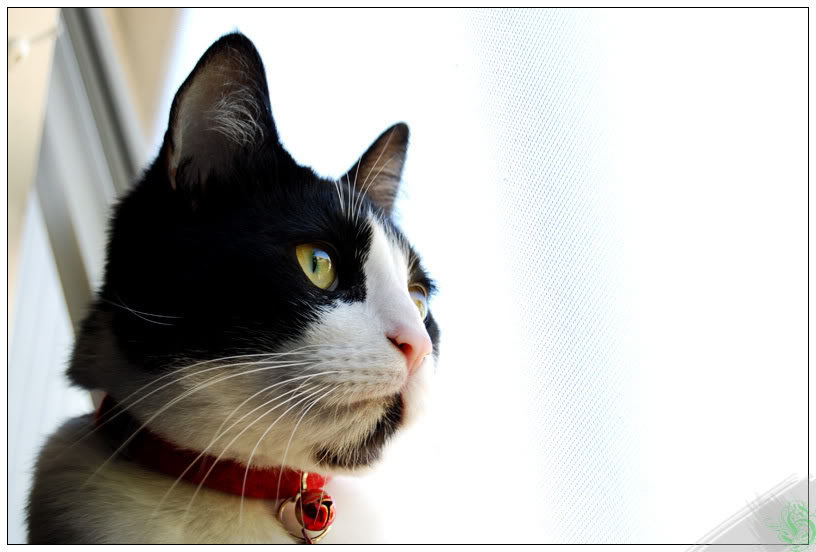 Name:  z01e.jpg
Views: 12
Size:  59.2 KB