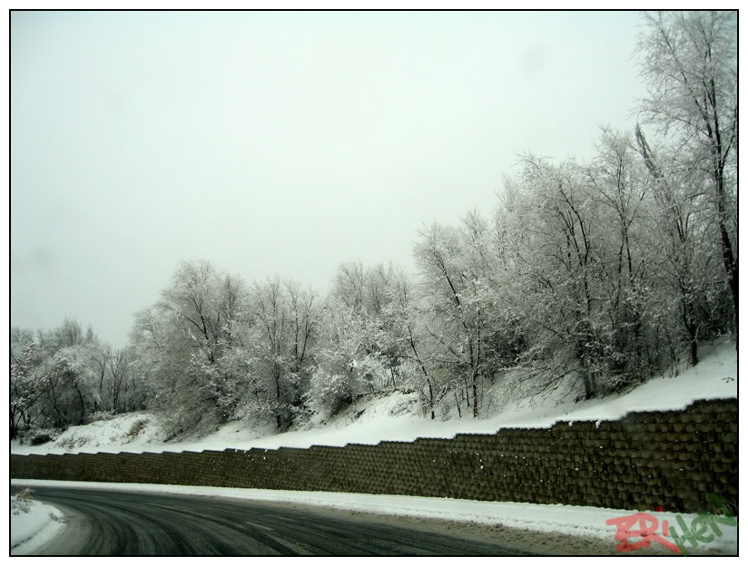Name: u12.jpg
Views: 13
Size: 116.5 KB