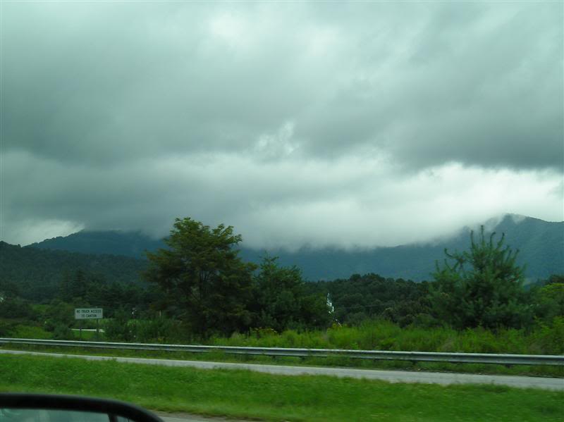 Name: P8130027Medium.jpg
Views: 8
Size: 36.5 KB