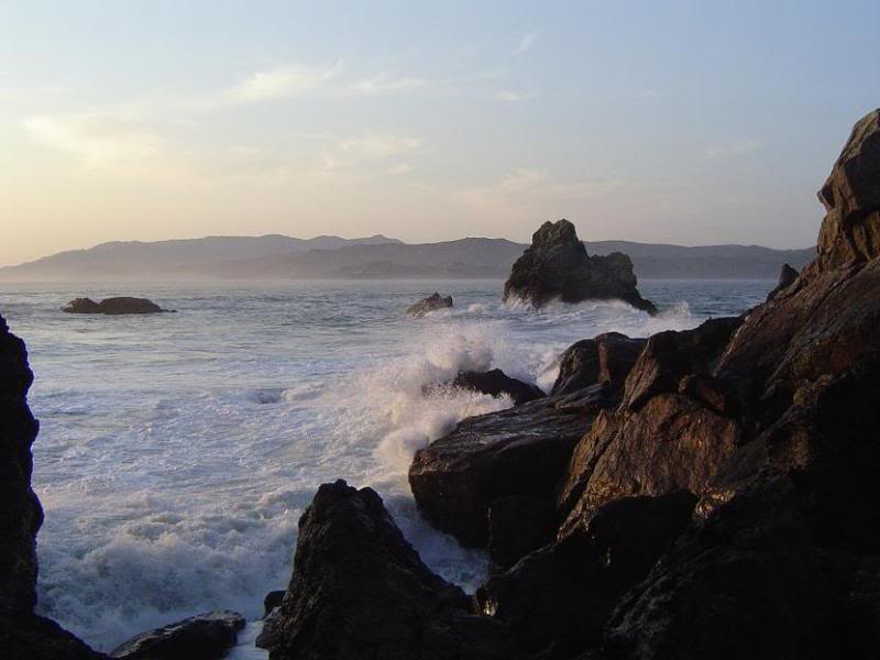 Name:  webwaves.jpg
Views: 10
Size:  45.2 KB