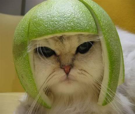 Name: 651103_118_full.jpg
Views: 14
Size: 21.1 KB