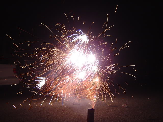 Name:  Picture076.jpg
Views: 9
Size:  62.0 KB