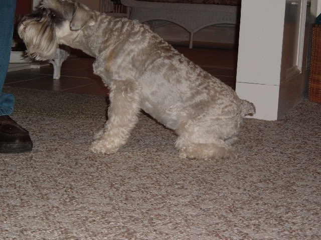 Name: Picture058.jpg
Views: 25
Size: 87.3 KB