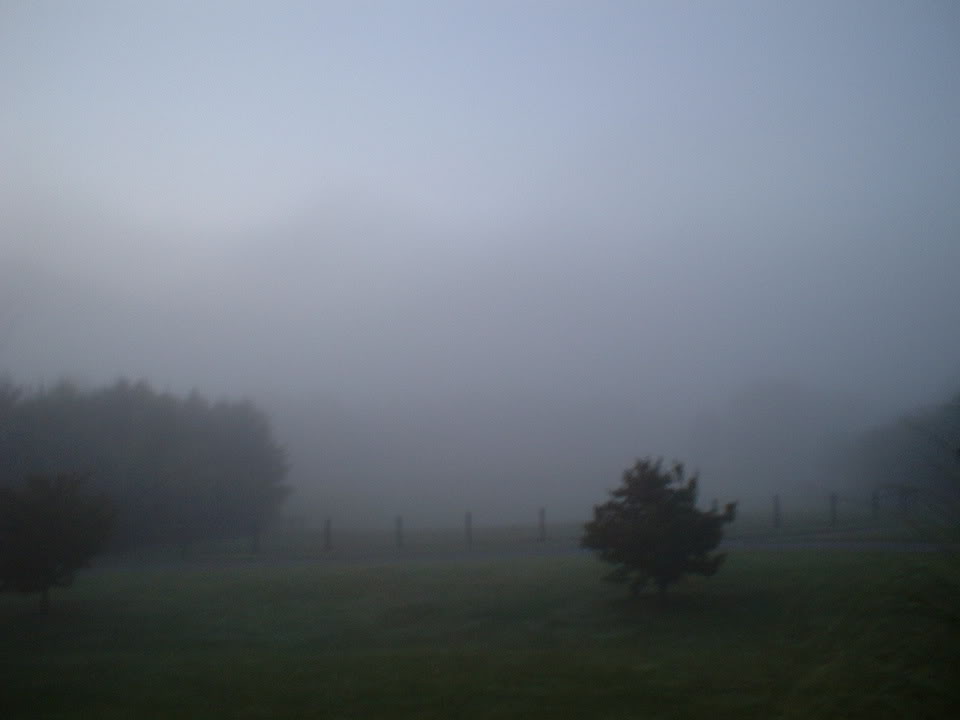 Name:  TheFog.jpg
Views: 24
Size:  27.3 KB