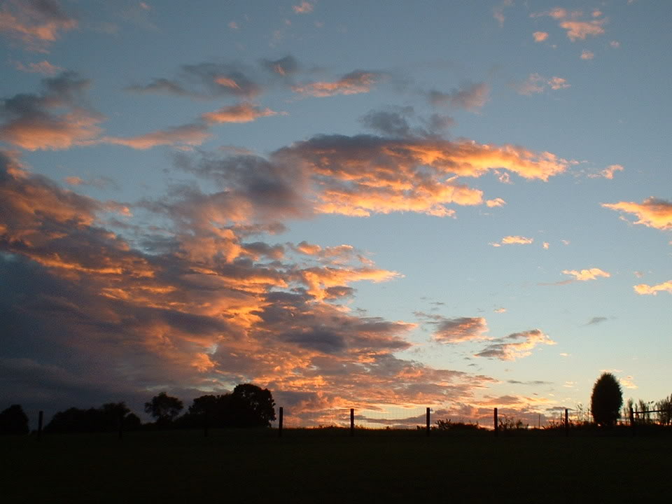 Name:  sunset18.jpg
Views: 28
Size:  69.6 KB
