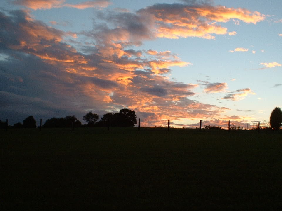 Name:  sunset17.jpg
Views: 26
Size:  69.0 KB