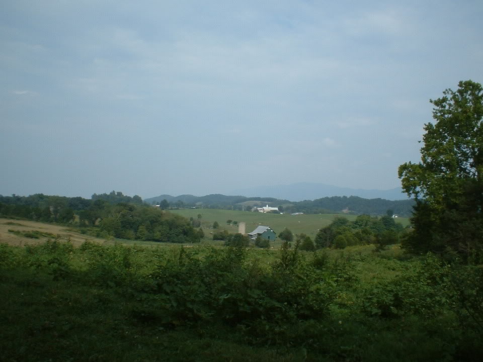 Name:  5sy.jpg
Views: 25
Size:  75.4 KB