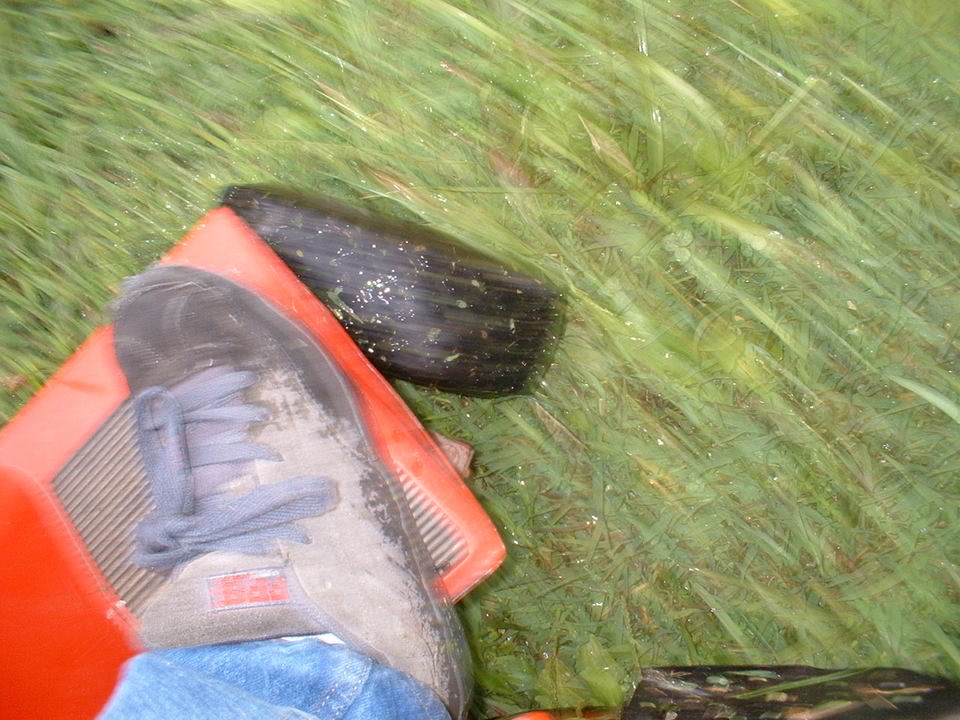 Name:  LM8.jpg
Views: 24
Size:  124.4 KB