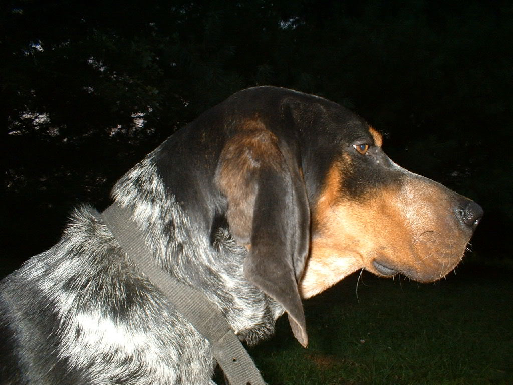 Name:  Picture011.jpg
Views: 26
Size:  131.2 KB